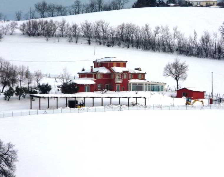 L'Antigo Granaro Guest House Agugliano Exterior photo